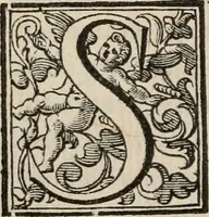 An illustration from Imprese sacre con triplicati discorsi, illustrate & arricchite. Con le aggiuntione [sic] ultimamente fattevi dall'istesso autore et in questa terza impressione, con sei copiosissime tavole molto più che prima adornate (1629)