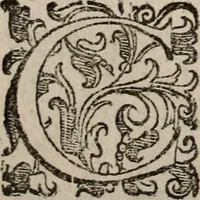 An illustration from Imprese sacre con triplicati discorsi, illustrate & arricchite. Con le aggiuntione [sic] ultimamente fattevi dall'istesso autore et in questa terza impressione, con sei copiosissime tavole molto più che prima adornate (1629)
