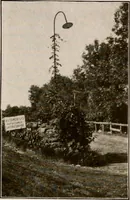 Picture 35 of 52 from Improvement of Fort Wayne Indiana; report for Fort Wayne Civic Improvement Association (1909), leaf 105