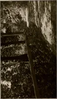 Picture 37 of 52 from Improvement of Fort Wayne Indiana; report for Fort Wayne Civic Improvement Association (1909), leaf 113