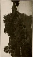 Picture 41 of 52 from Improvement of Fort Wayne Indiana; report for Fort Wayne Civic Improvement Association (1909), leaf 125