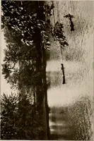 An illustration from Improvement of Fort Wayne Indiana; report for Fort Wayne Civic Improvement Association (1909)