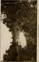 Picture 44 of 52 from Improvement of Fort Wayne Indiana; report for Fort Wayne Civic Improvement Association (1909), leaf 131