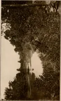 Picture 45 of 52 from Improvement of Fort Wayne Indiana; report for Fort Wayne Civic Improvement Association (1909), leaf 133