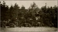 Picture 28 of 52 from Improvement of Fort Wayne Indiana; report for Fort Wayne Civic Improvement Association (1909), leaf 85