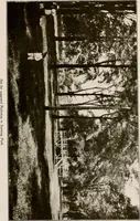Picture 31 of 52 from Improvement of Fort Wayne Indiana; report for Fort Wayne Civic Improvement Association (1909), leaf 90