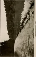 Picture 34 of 52 from Improvement of Fort Wayne Indiana; report for Fort Wayne Civic Improvement Association (1909), leaf 99