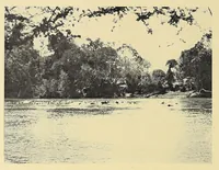 An illustration from In Africa : hunting adventures in the big game country (1910)