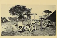 An illustration from In Africa : hunting adventures in the big game country (1910)