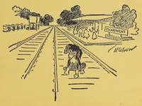 Picture 10 of 17 from In Africa : hunting adventures in the big game country (1910), leaf 305