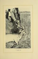 An illustration from In Africa : hunting adventures in the big game country (1910)