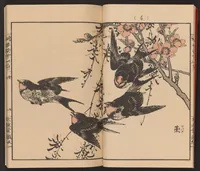 An illustration from Inaka no tsuki : Inaka-no-tsuki (1889)