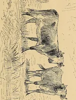 An illustration from Inauguration of new galleries, works from the salon of '84 and other American paintings contributed by the artists (1884)