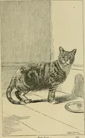 An illustration from In the child's world; morning talks and stories for kindergartens, primary schools and homes (1893)