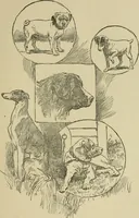 An illustration from In the child's world; morning talks and stories for kindergartens, primary schools and homes (1893)