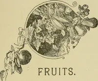 An illustration from In the child's world; morning talks and stories for kindergartens, primary schools and homes (1893)