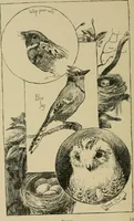 An illustration from In the child's world; morning talks and stories for kindergartens, primary schools and homes (1893)