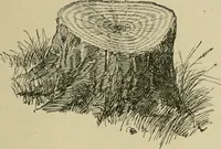 An illustration from In the child's world; morning talks and stories for kindergartens, primary schools and homes (1893)