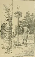 An illustration from In the child's world; morning talks and stories for kindergartens, primary schools and homes (1893)