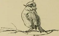 An illustration from In the child's world; morning talks and stories for kindergartens, primary schools and homes (1893)