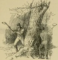 An illustration from In the child's world; morning talks and stories for kindergartens, primary schools and homes (1893)