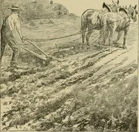 An illustration from In the child's world; morning talks and stories for kindergartens, primary schools and homes (1893)