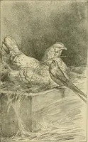 An illustration from In the child's world; morning talks and stories for kindergartens, primary schools and homes (1893)