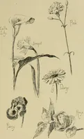 An illustration from In the child's world; morning talks and stories for kindergartens, primary schools and homes (1893)