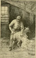 An illustration from In the child's world; morning talks and stories for kindergartens, primary schools and homes (1893)