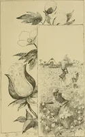 An illustration from In the child's world; morning talks and stories for kindergartens, primary schools and homes (1893)