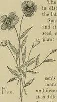 An illustration from In the child's world; morning talks and stories for kindergartens, primary schools and homes (1893)