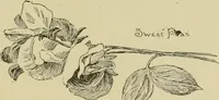 An illustration from In the child's world; morning talks and stories for kindergartens, primary schools and homes (1893)
