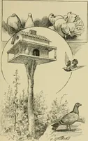 An illustration from In the child's world; morning talks and stories for kindergartens, primary schools and homes (1893)