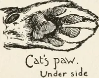 Picture 26 of 80 from In the child's world : morning talks and stories for kindergartens, primary schools and homes (1893), leaf 161