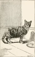 An illustration from In the child's world : morning talks and stories for kindergartens, primary schools and homes (1893)