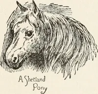 Picture 28 of 80 from In the child's world : morning talks and stories for kindergartens, primary schools and homes (1893), leaf 167