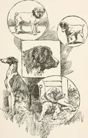 An illustration from In the child's world : morning talks and stories for kindergartens, primary schools and homes (1893)
