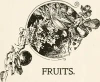 An illustration from In the child's world : morning talks and stories for kindergartens, primary schools and homes (1893)