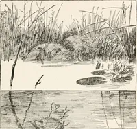Picture 46 of 80 from In the child's world : morning talks and stories for kindergartens, primary schools and homes (1893), leaf 268