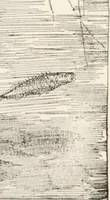 An illustration from In the child's world : morning talks and stories for kindergartens, primary schools and homes (1893)