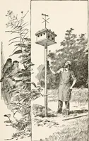 An illustration from In the child's world : morning talks and stories for kindergartens, primary schools and homes (1893)