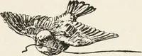 An illustration from In the child's world : morning talks and stories for kindergartens, primary schools and homes (1893)