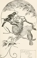 An illustration from In the child's world : morning talks and stories for kindergartens, primary schools and homes (1893)