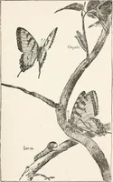 An illustration from In the child's world : morning talks and stories for kindergartens, primary schools and homes (1893)