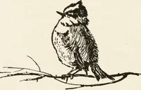 An illustration from In the child's world : morning talks and stories for kindergartens, primary schools and homes (1893)