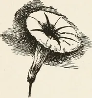 An illustration from In the child's world : morning talks and stories for kindergartens, primary schools and homes (1893)