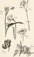 An illustration from In the child's world : morning talks and stories for kindergartens, primary schools and homes (1893)