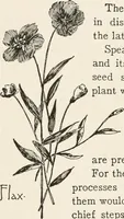 Picture 77 of 80 from In the child's world : morning talks and stories for kindergartens, primary schools and homes (1893), leaf 445
