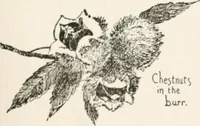 Picture 12 of 80 from In the child's world : morning talks and stories for kindergartens, primary schools and homes (1893), leaf 68