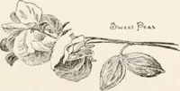 Picture 13 of 80 from In the child's world : morning talks and stories for kindergartens, primary schools and homes (1893), leaf 72